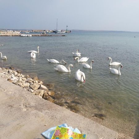 New Kosljun Apartment Short Walk To Beach المظهر الخارجي الصورة