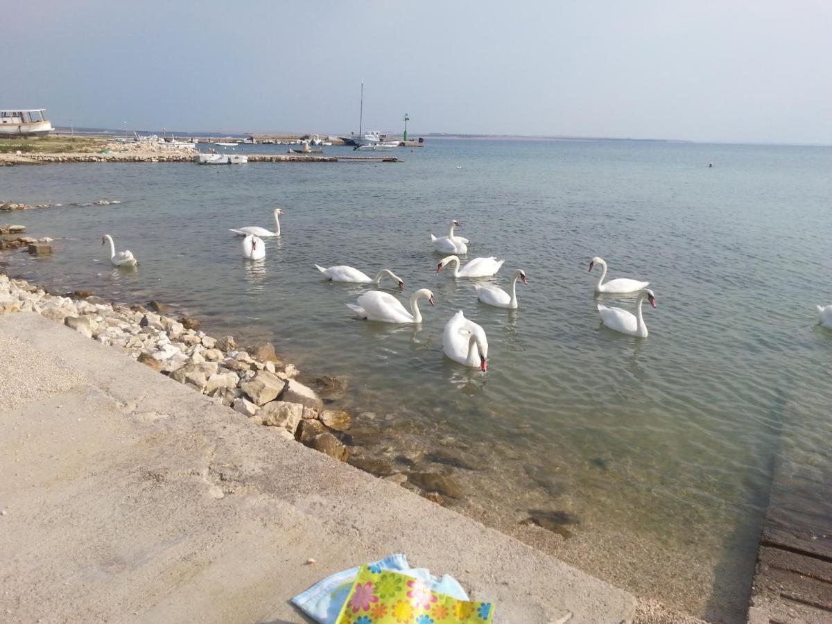 New Kosljun Apartment Short Walk To Beach المظهر الخارجي الصورة